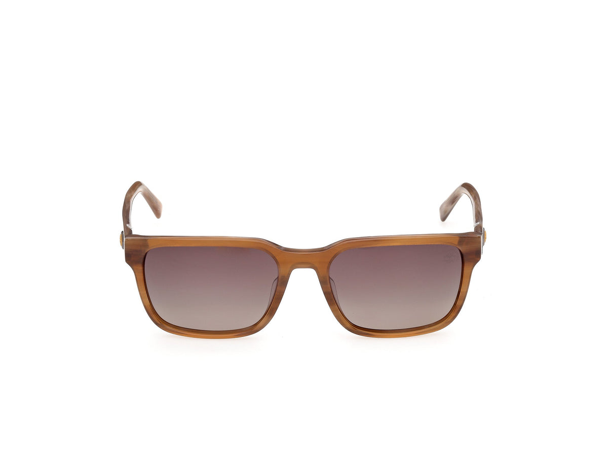 Gafas de Sol Timberland TB99 62H 56 18