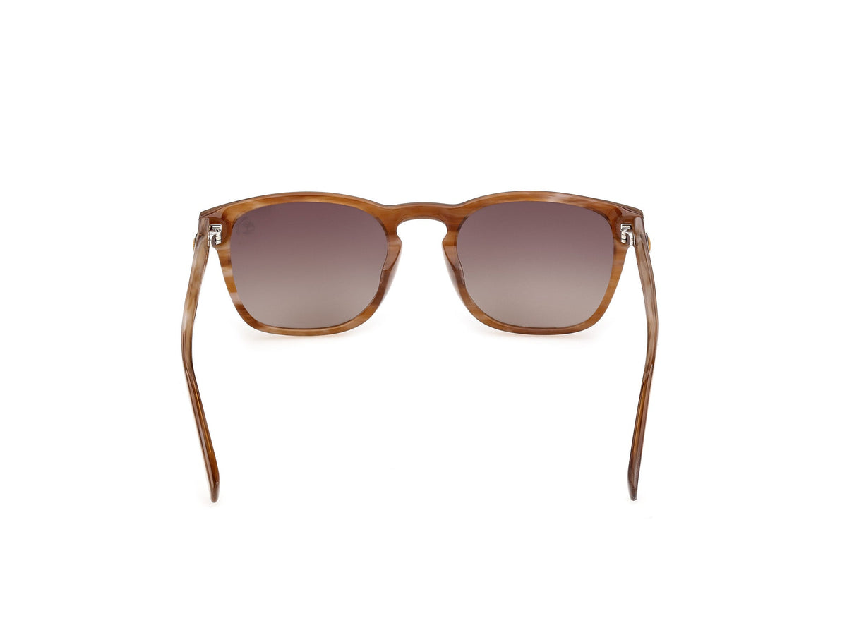 Sunglasses Timberland TB100 62H 53 21