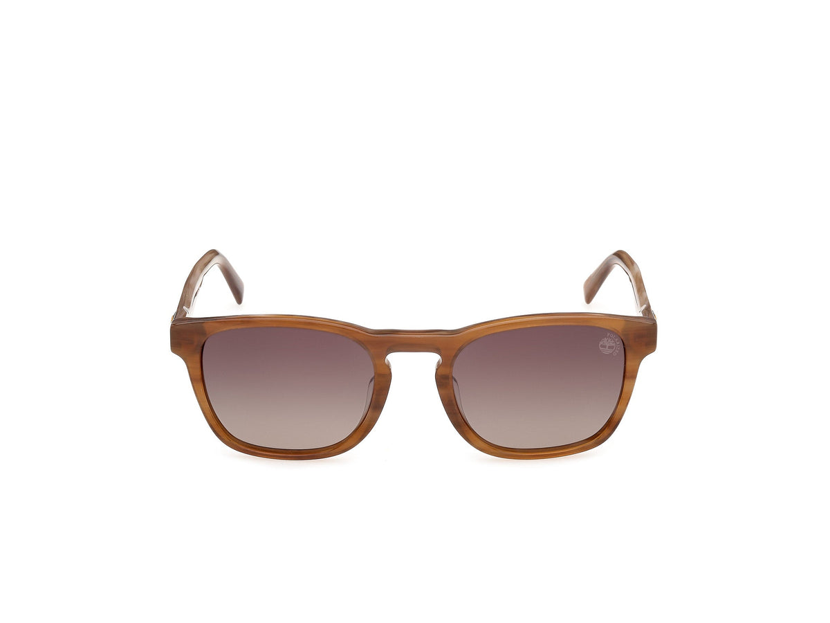 Sunglasses Timberland TB100 62H 53 21