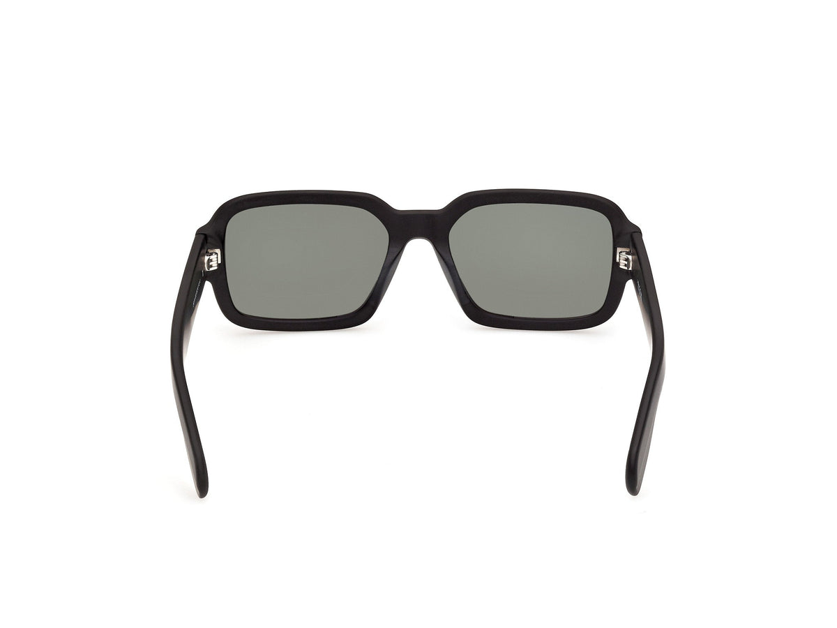 Sunglasses Adidas OR154 02Q 55 18