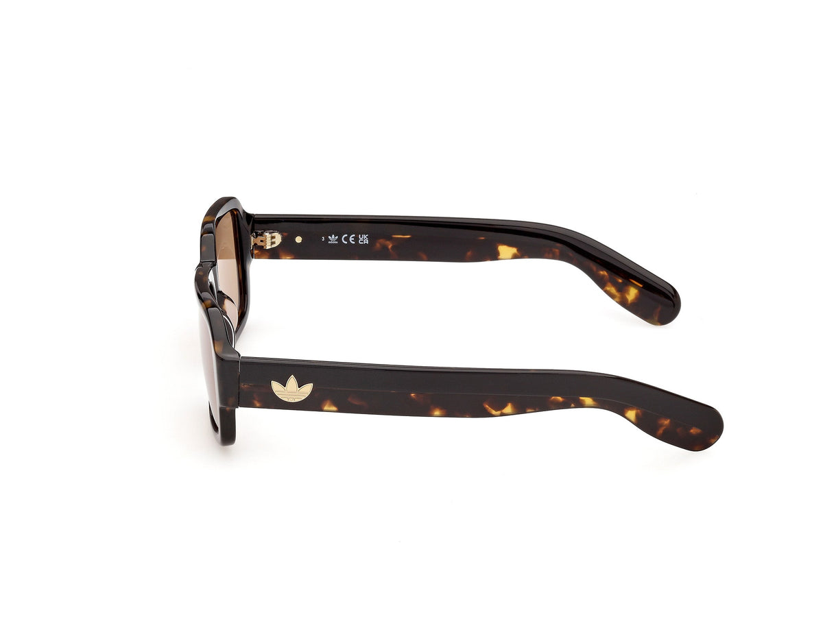 Sunglasses Adidas OR154 52E 55 18