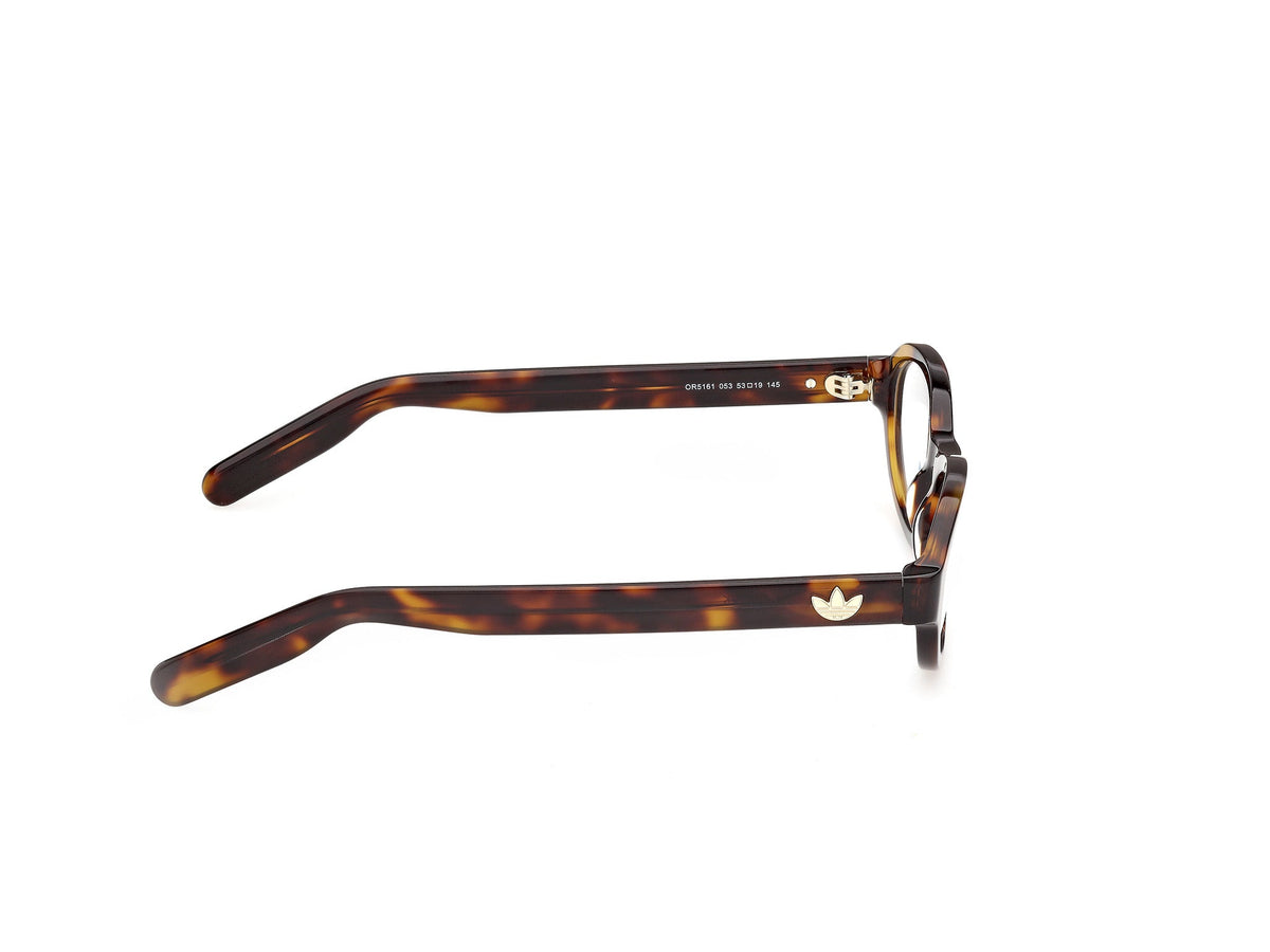 Gafas Graduadas Adidas OR5161 053 53 19