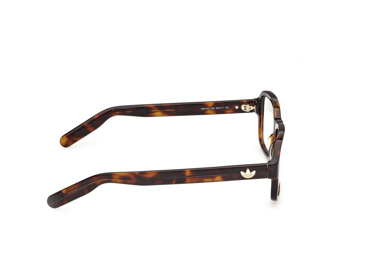 Gafas Graduadas Adidas OR5162 053 56 17