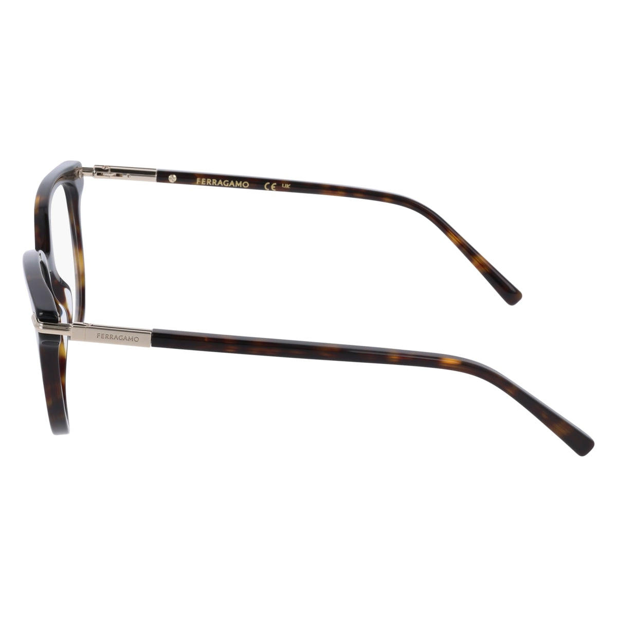 Gafas Graduadas Ferragamo SF3026 242 52 / 55 17