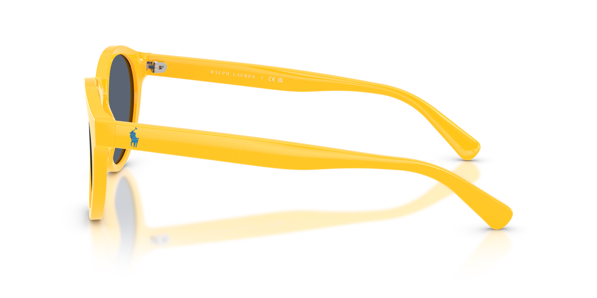 Gafas de Sol Polo Ralph Lauren PH4192 542087 51 21