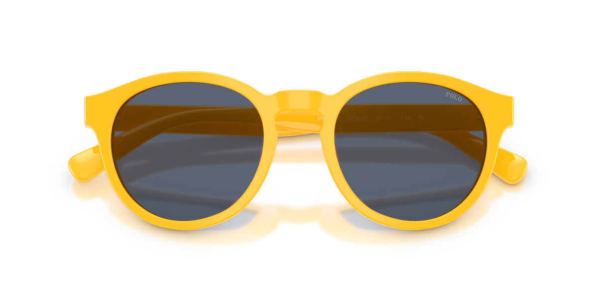 Gafas de Sol Polo Ralph Lauren PH4192 542087 51 21