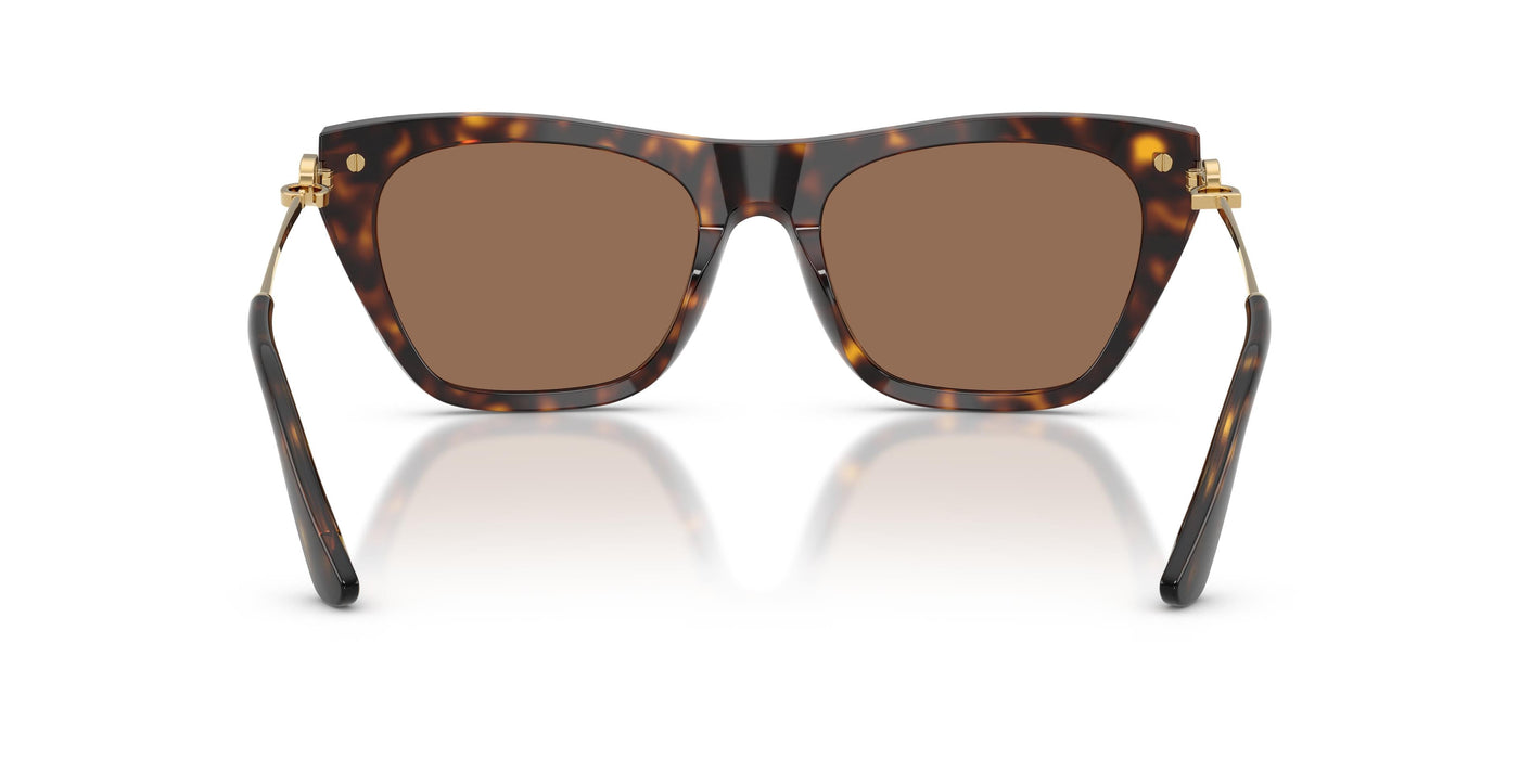 Gafas de Sol Dolce & Gabbana DG4511 502/73 55 19