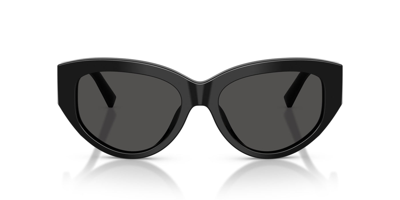 Gafas de Sol Dolce & Gabbana DG4514 501/87 55 17