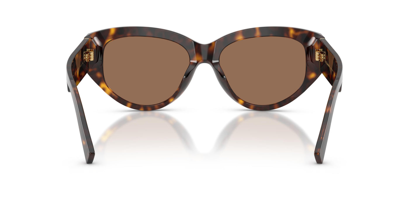 Gafas de Sol Dolce & Gabbana DG4514 502/73 55 17