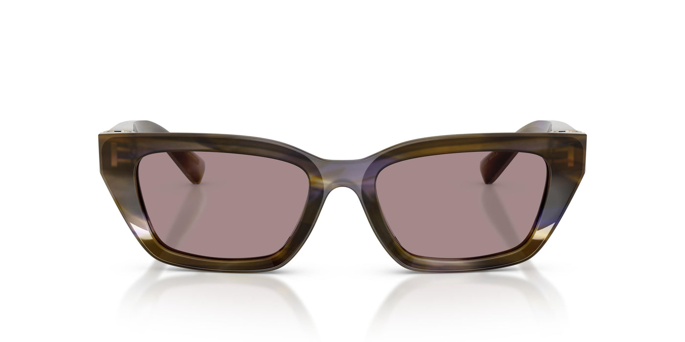 Gafas de Sol Dolce & Gabbana DG4532 3447LA 53 18
