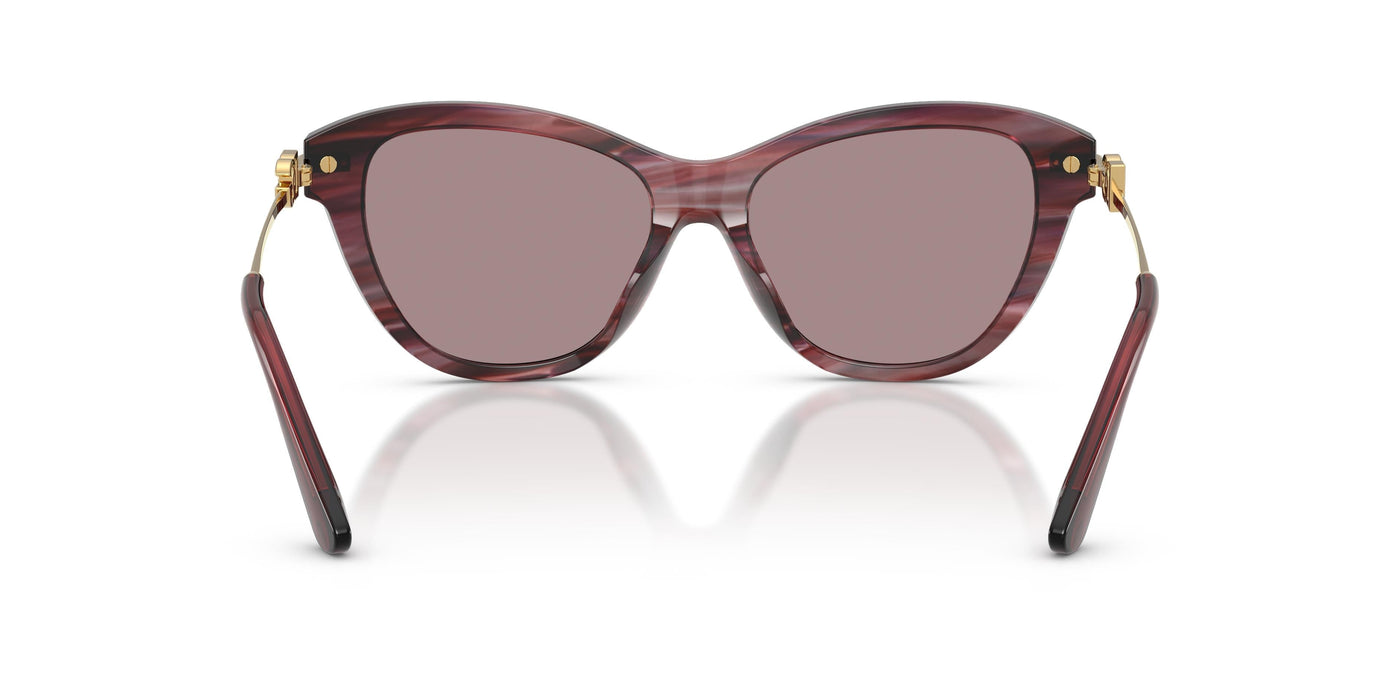 Gafas de Sol Dolce & Gabbana DG4534 3474LA 53 16