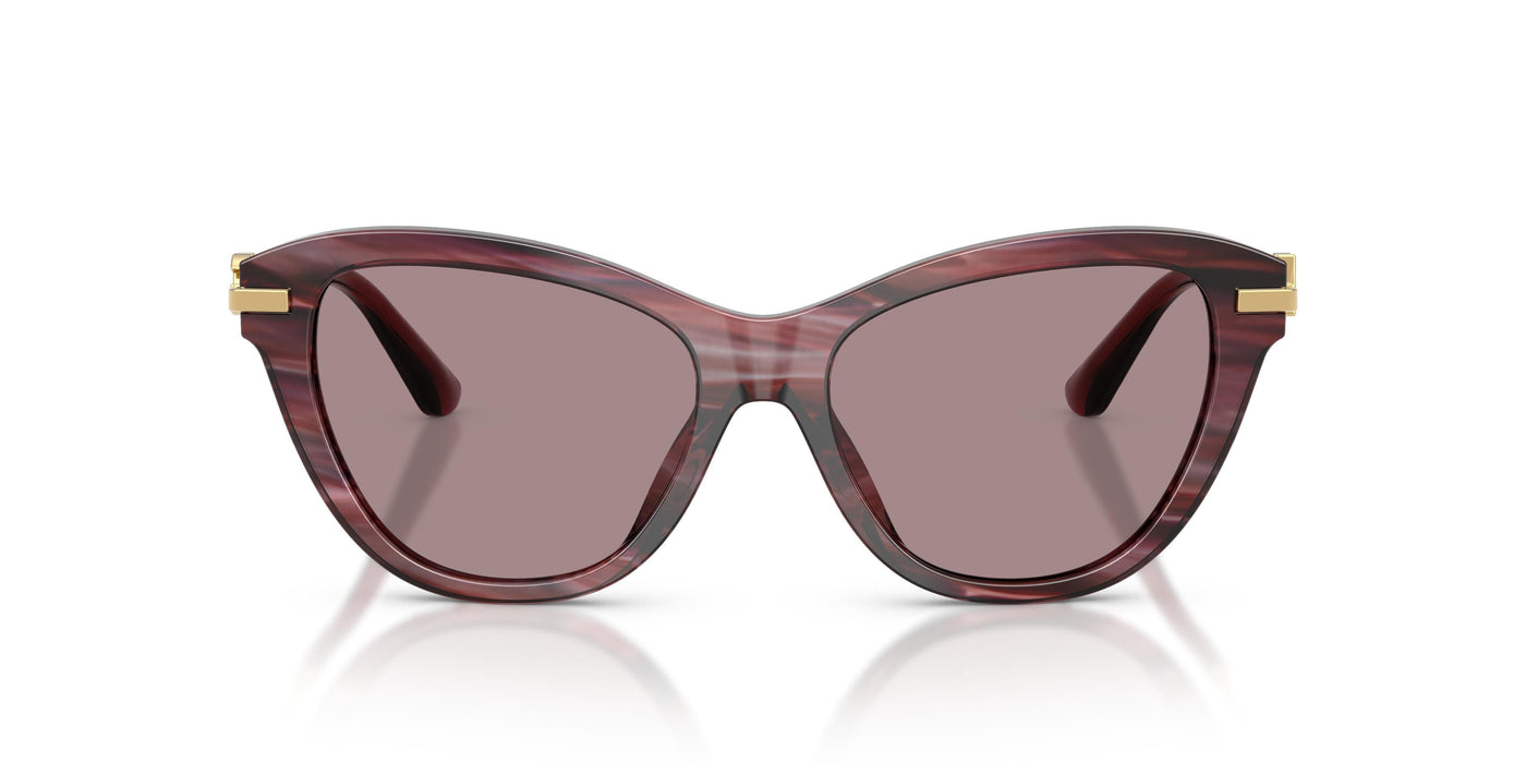 Gafas de Sol Dolce & Gabbana DG4534 3474LA 53 16