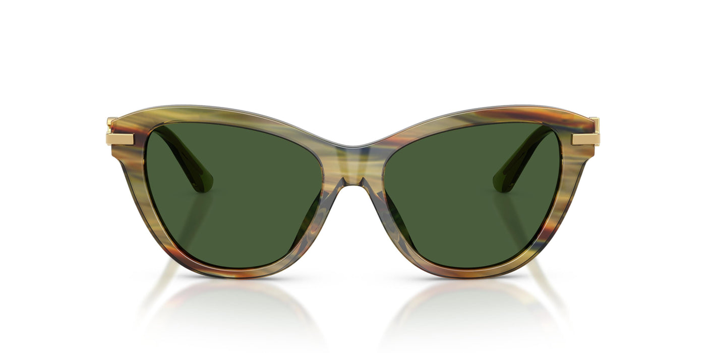 Gafas de Sol Dolce & Gabbana DG4534 347571 53 16