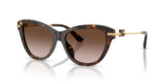 Gafas Graduadas Dolce & Gabbana DG4534 502/13 53 16