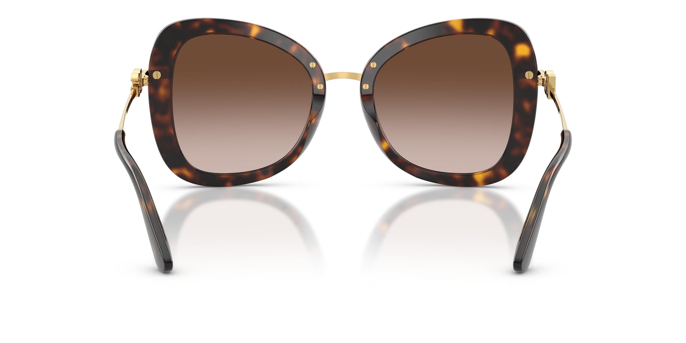 Gafas de Sol Dolce & Gabbana DG4535 502/13 53 21