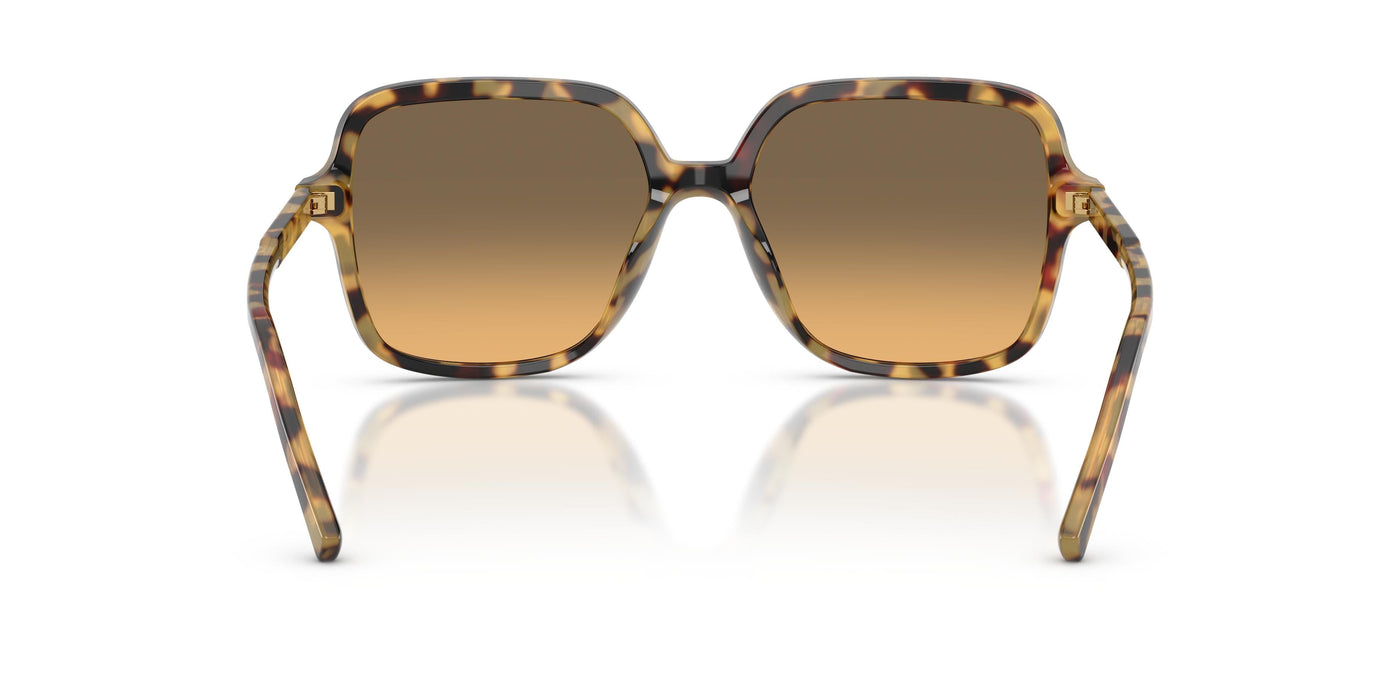 Gafas de Sol Dolce & Gabbana DG4539 512/11 55 17