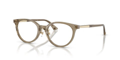 Gafas Graduadas Jimmy Choo JC3039D 5051 48 18