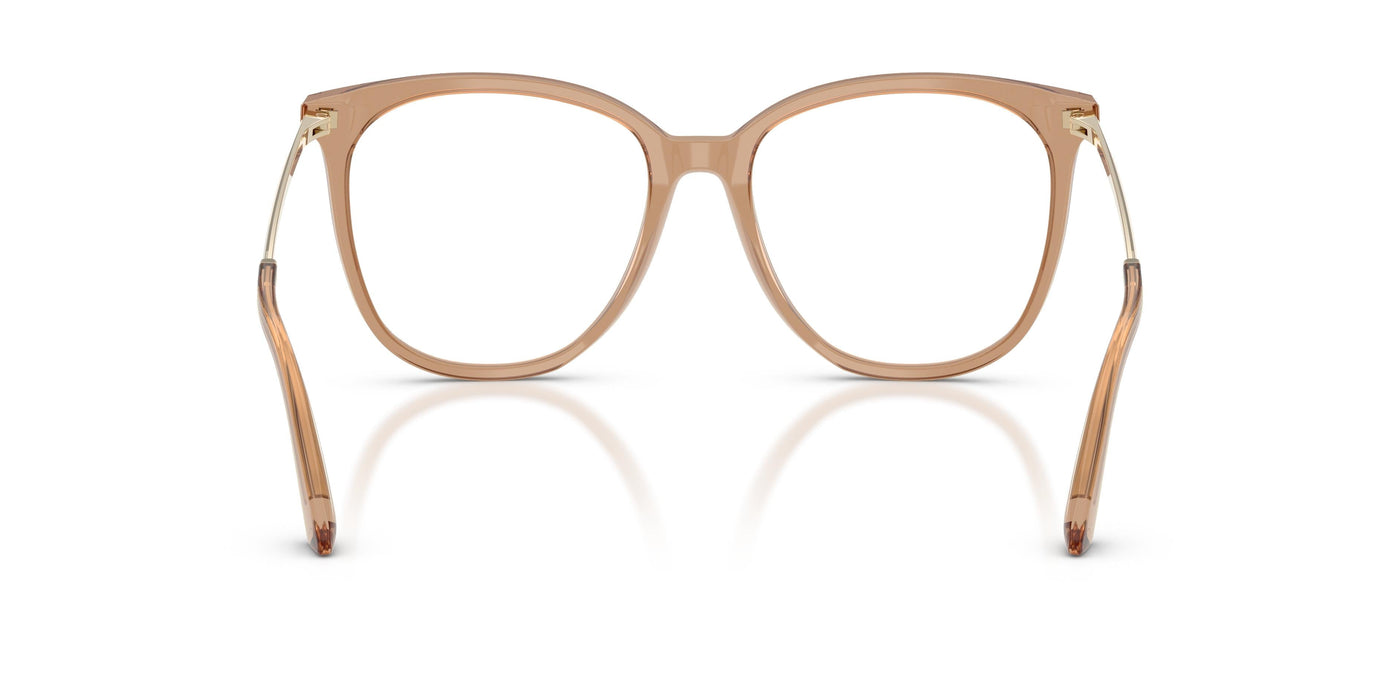 Sunglasses Jimmy Choo JC3060 5076