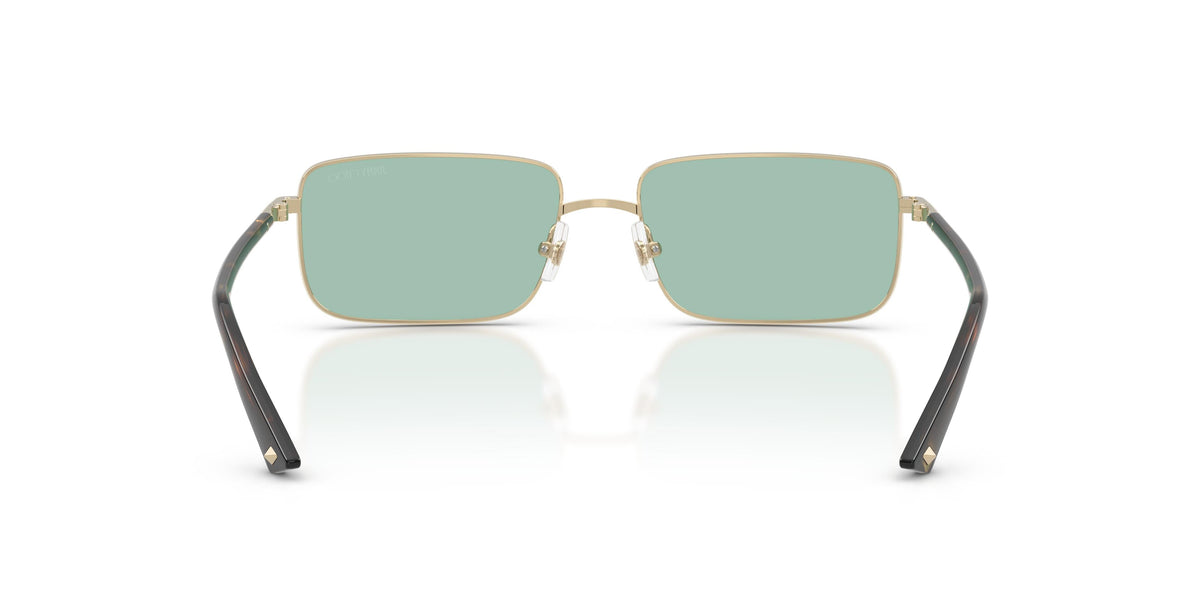 Gafas de Sol Jimmy Choo JC4027 3006/2 55 16 - vista 3