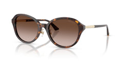 Sunglasses Jimmy Choo JC5044D 500213 54 19