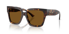 Sunglasses Jimmy Choo JC5047B 500283 54 17