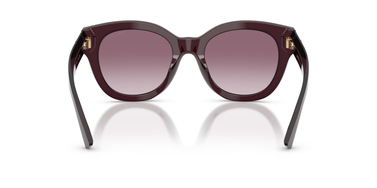 Gafas de Sol Jimmy Choo JC5053 50866X 51 20 - vista 3