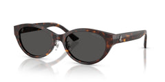 Sunglasses Jimmy Choo JC5064D 500287 55 19