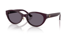 Sunglasses Jimmy Choo JC5064D 50751A 55 19