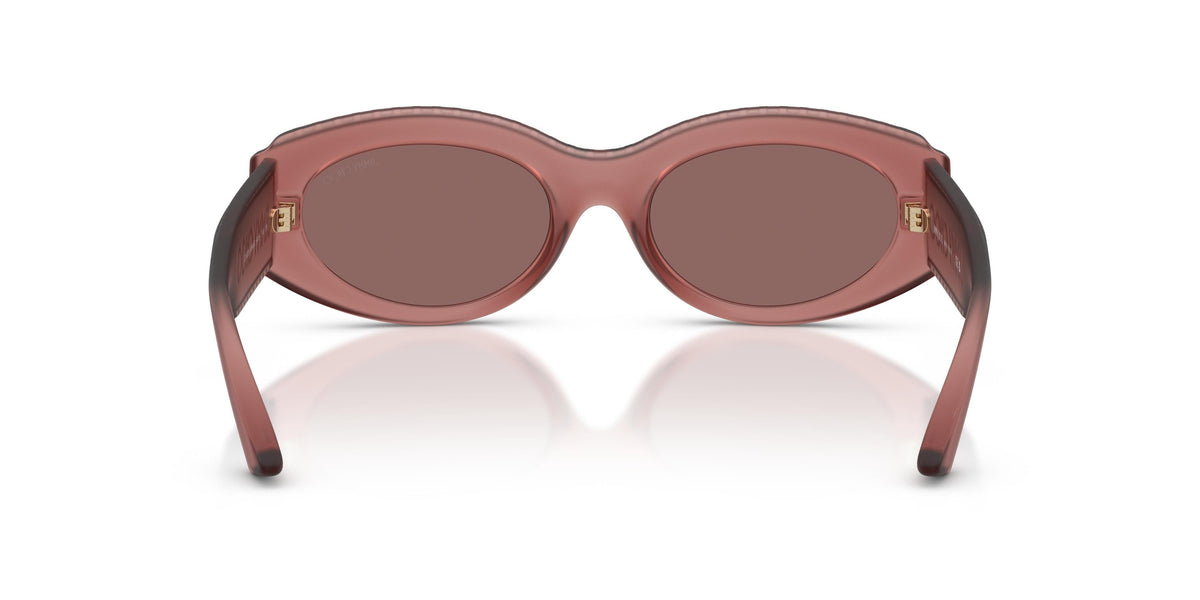 Gafas de Sol Jimmy Choo JC6002U 50946G 54 19 - vista 3