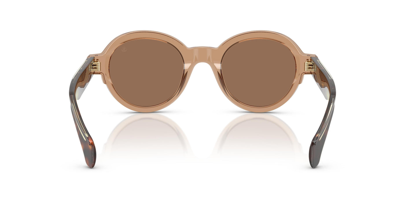 Gafas de Sol Moncler RONDOSA ME6003 303773 47 22