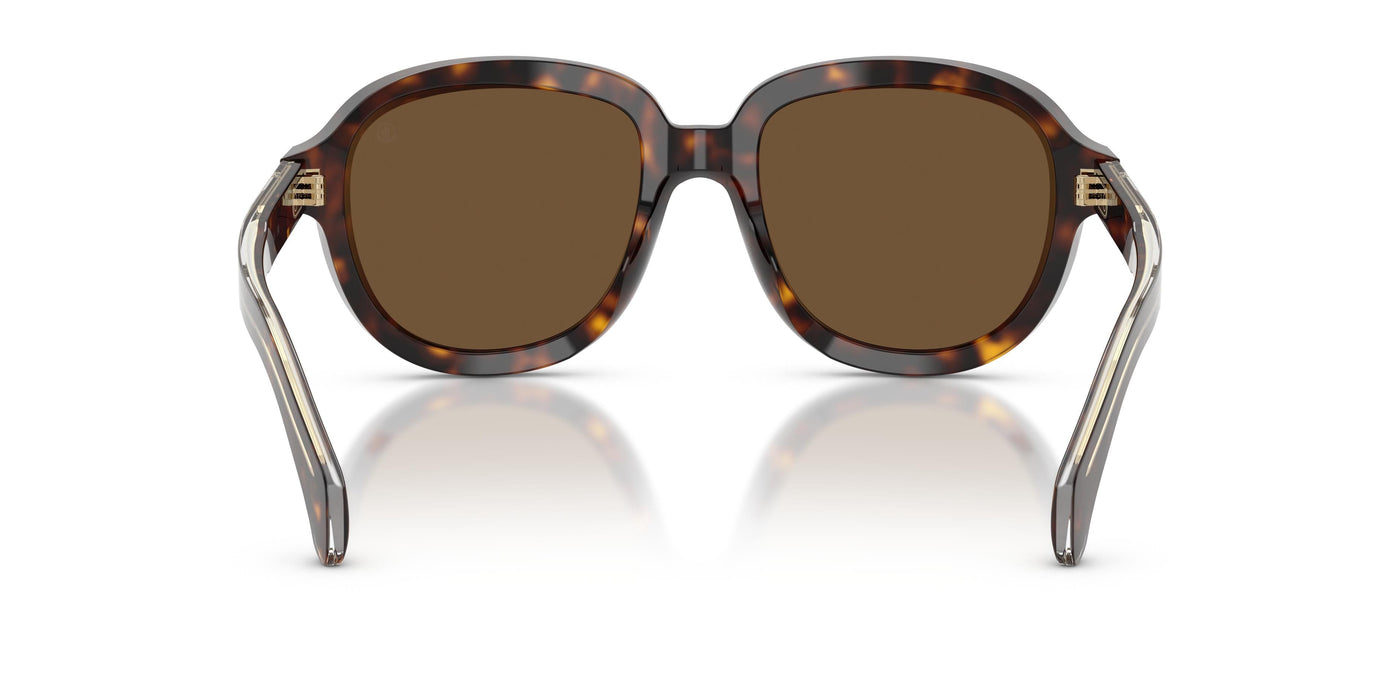 Sunglasses Moncler CIRSEE ME6007U 300273 54 20