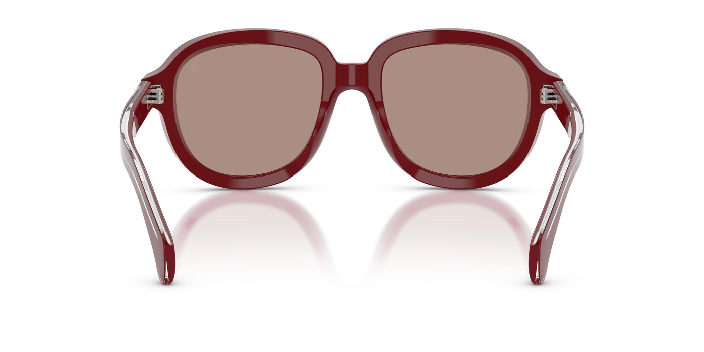 Sunglasses Moncler CIRSEE ME6007U 301675 54 20
