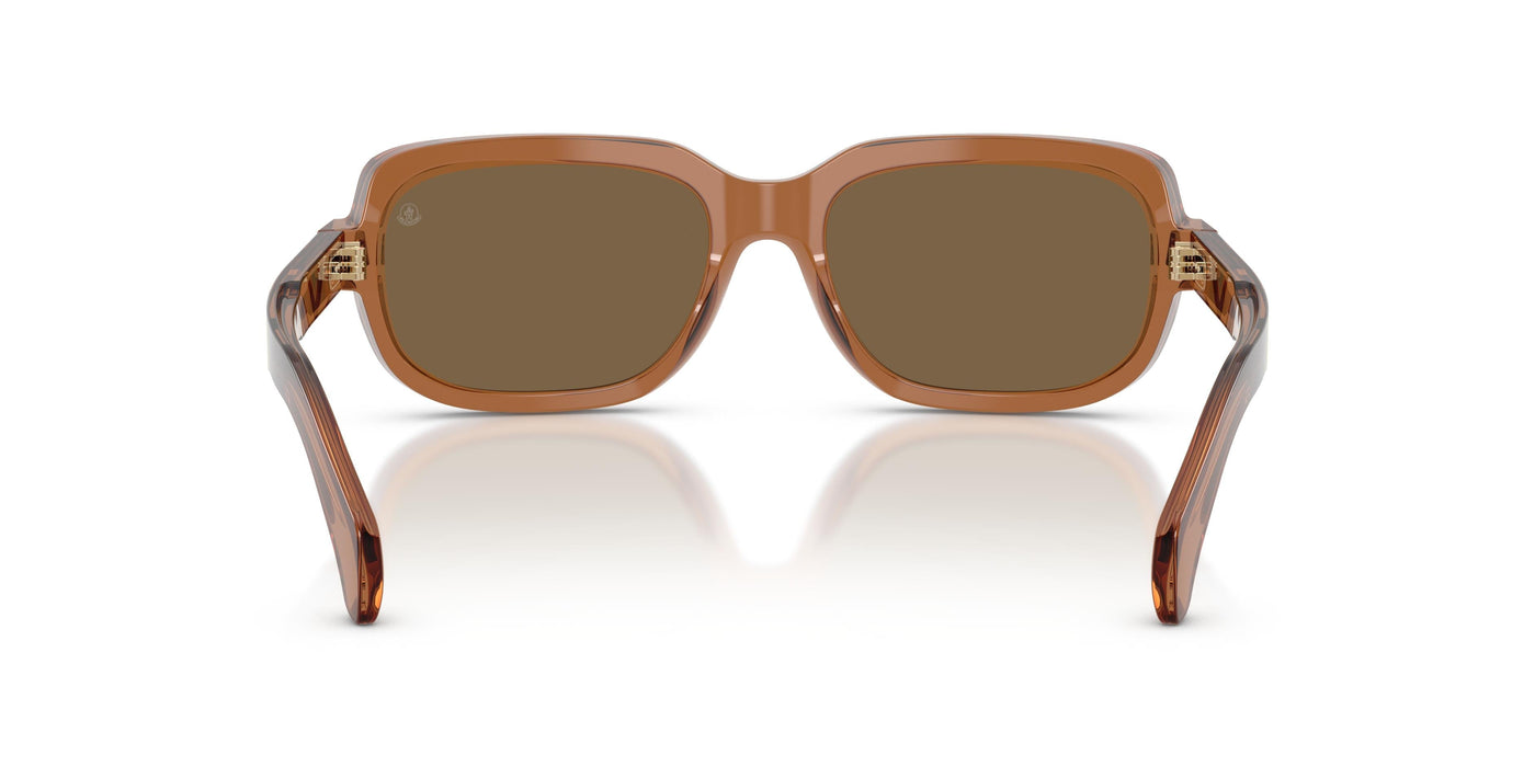 Gafas de Sol Moncler SUNTRAP ME6008 3017F9 55 18