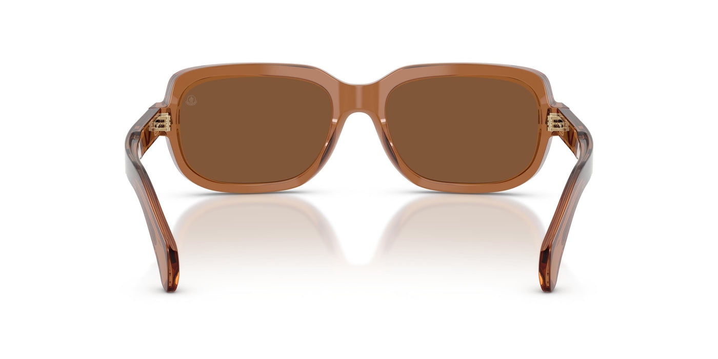 Sunglasses Moncler SUNTRAP ME6008 3017/3 55 18