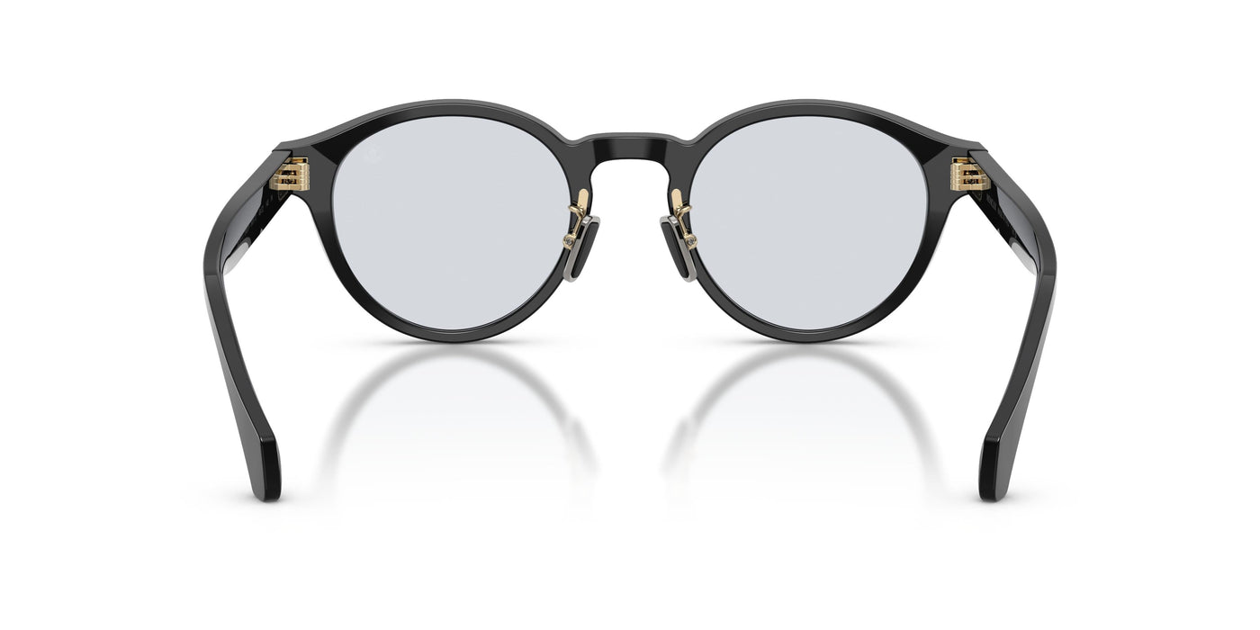 Sunglasses Moncler EMBER ME6017D 300172 49 22