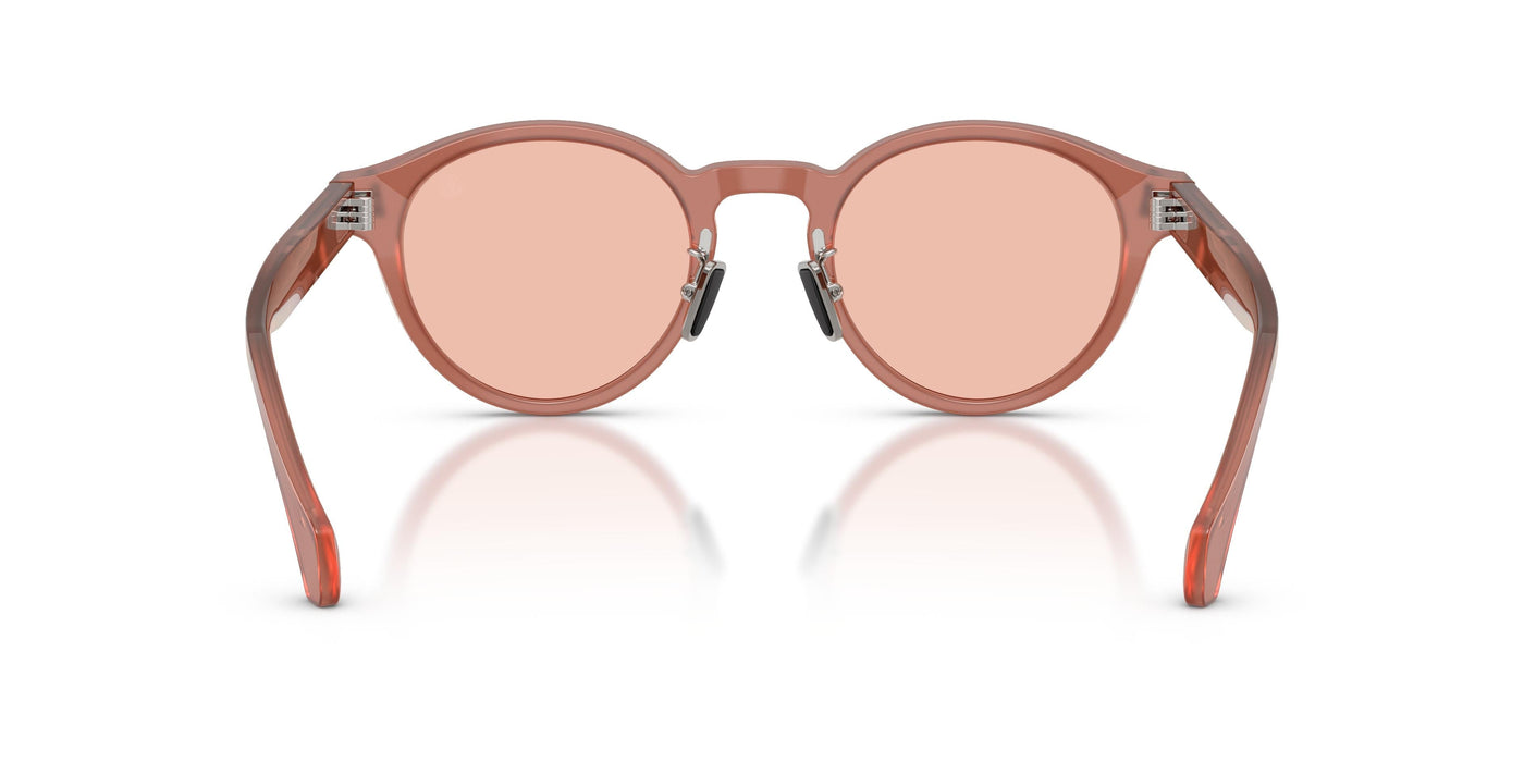 Gafas de Sol Moncler EMBER ME6017D 302684 49 22