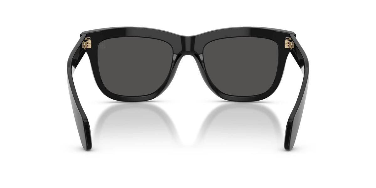 Sunglasses Moncler ME6023 300187 52 19
