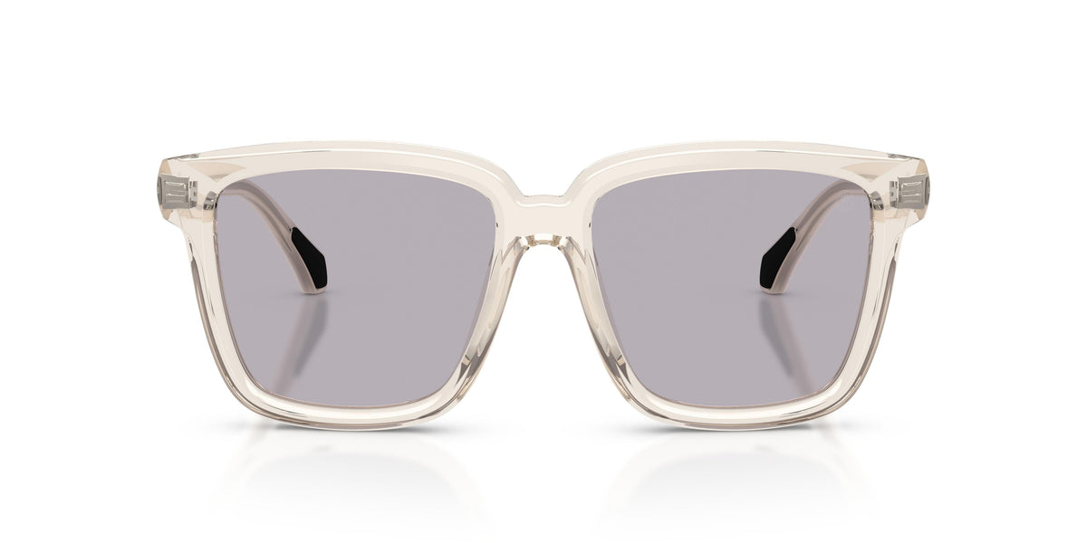 Sunglasses Moncler ME6026 3003M3 54 16