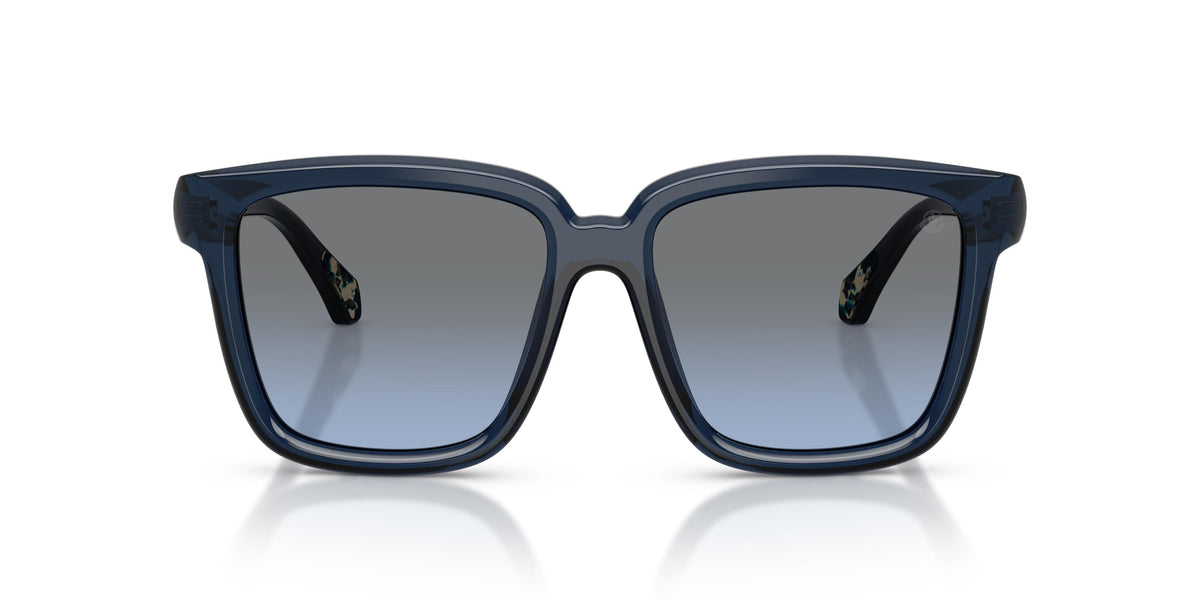 Sunglasses Moncler ME6026 30478F 54 16