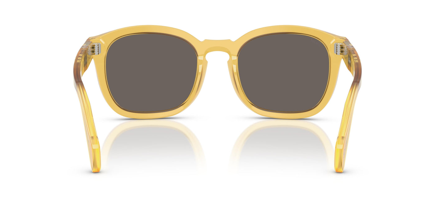 Gafas de Sol Persol PO0082S 204/B1 54 22