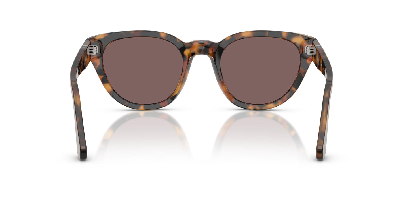 Gafas de Sol Persol PO3379S 105253