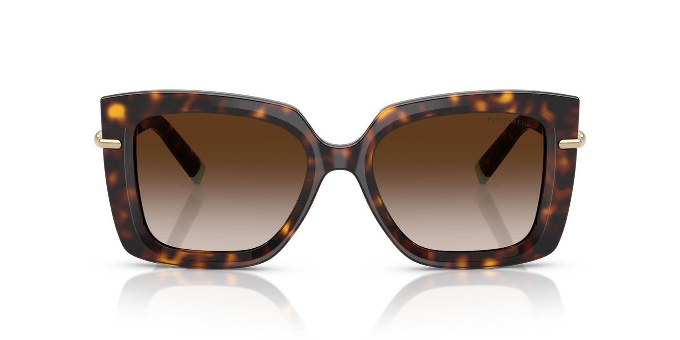 Gafas de Sol Tiffany TF4199 80153B 53 18