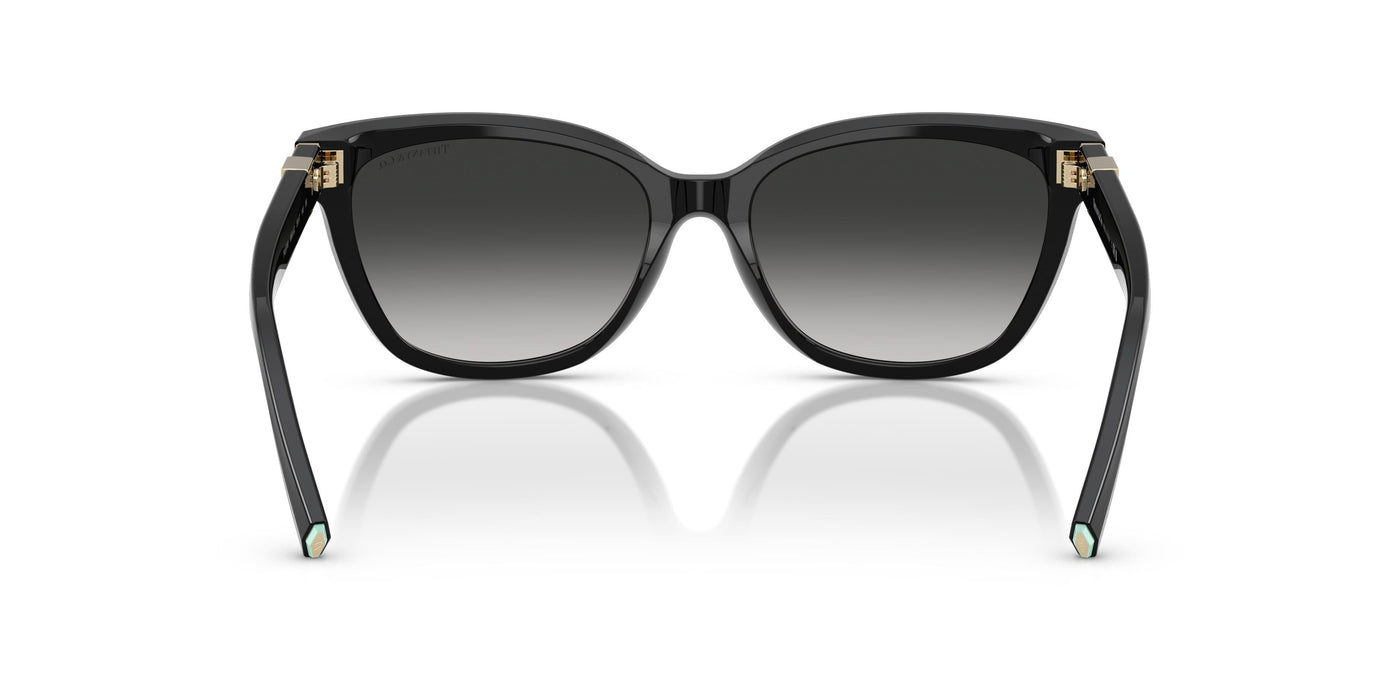 Gafas de Sol Tiffany TF4237B 80013C 55 17