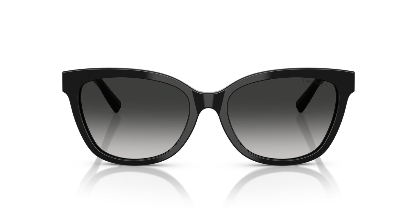 Gafas de Sol Tiffany TF4237B 80013C 55 17