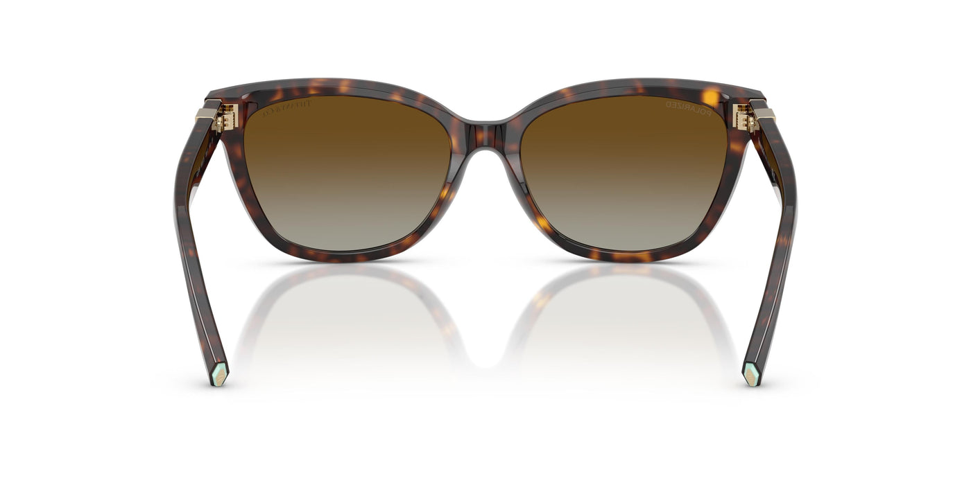 Gafas de Sol Tiffany TF4237B 8015T5 55 17