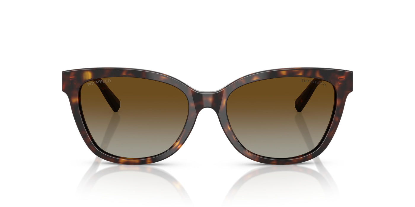 Gafas de Sol Tiffany TF4237B 8015T5 55 17