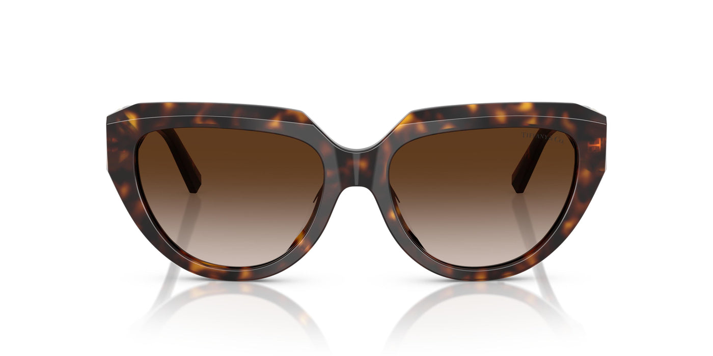 Gafas de Sol Tiffany TF4238U 80153B 55 17