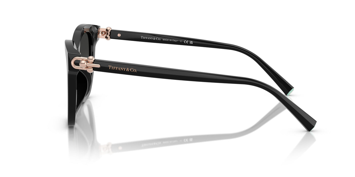 Gafas de Sol Tiffany TF4241D 80013C 54 17