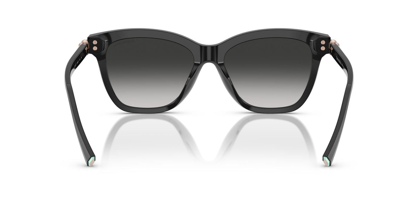 Gafas de Sol Tiffany TF4241D 80013C 54 17