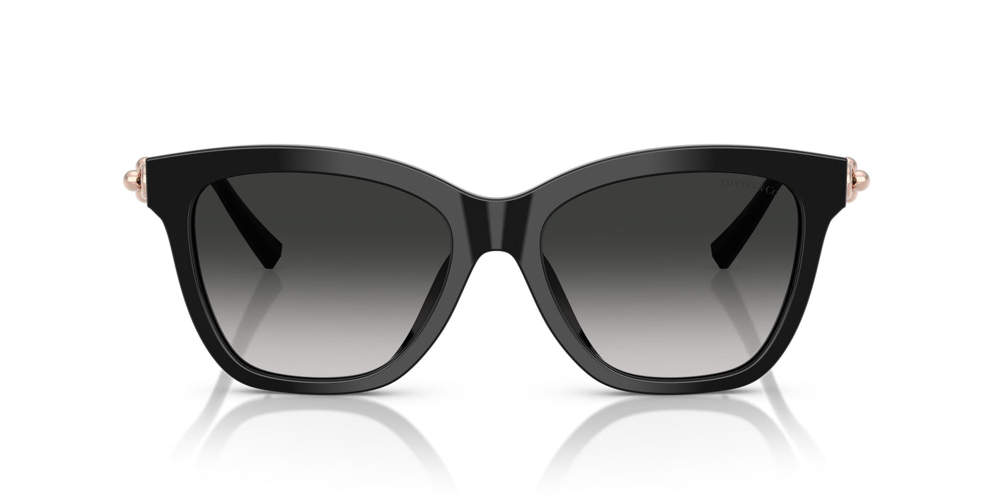 Gafas de Sol Tiffany TF4241D 80013C 54 17
